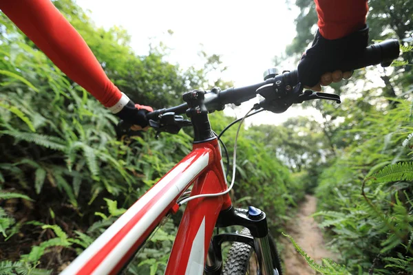 越野自行车骑山地自行车在热带森林小径 — 图库照片
