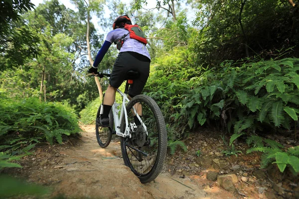 Langlaufen Fietsende Vrouw Fietser Mountainbike Tropisch Bospad — Stockfoto