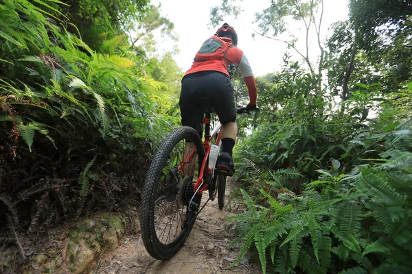 越野自行车女骑手骑山地自行车在热带森林小径上 — 图库照片