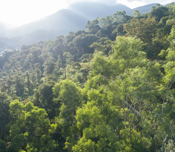 Vista Aérea Montanhas Com Florestas Tropicais Densas Verdes Nevoeiro Matinal — Fotografia de Stock