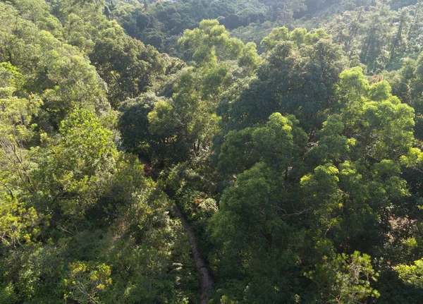 Vista Aérea Trilha Montanhas Com Florestas Tropicais Densas Verdes Nascer — Fotografia de Stock