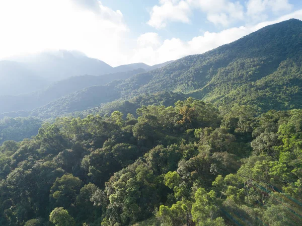 Vista Aérea Montanhas Com Florestas Tropicais Densas Verdes Nevoeiro Matinal — Fotografia de Stock