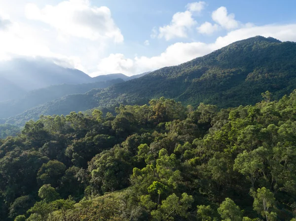 Vista Aérea Montanhas Com Florestas Tropicais Densas Verdes Nevoeiro Matinal — Fotografia de Stock