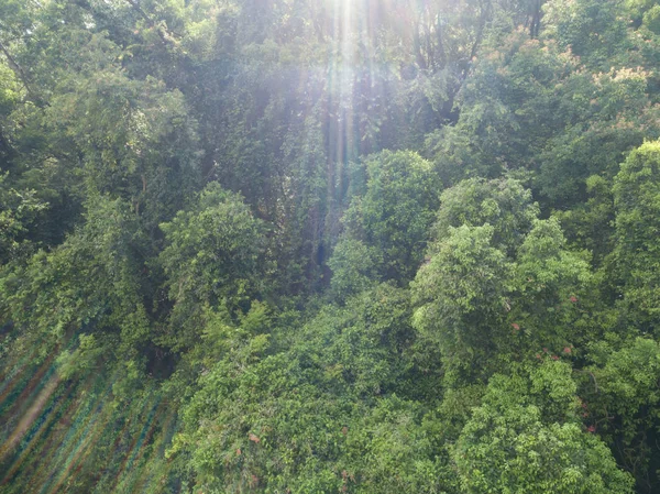 Vista Aérea Montanha Com Florestas Tropicais Densas Verdes Nascer Sol — Fotografia de Stock