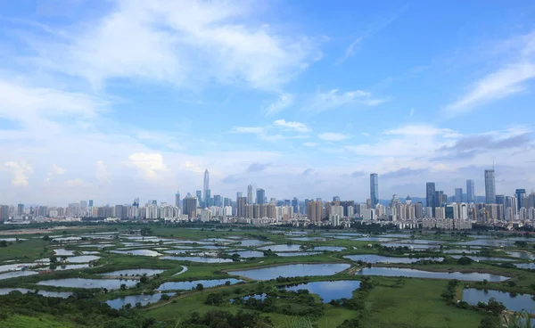 Campi Verdi Rurali Con Laghetti Pesci Hong Kong Gli Skyline — Foto Stock