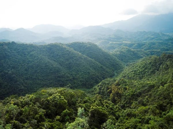 Widok Lotu Ptaka Góry Zielonymi Tropikalnymi Lasami Deszczowymi Poranną Mgłą — Zdjęcie stockowe