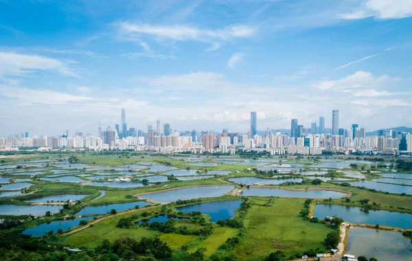 Ländliche Grüne Felder Mit Fischteichen Zwischen Hongkong Und Skylines Von — Stockfoto