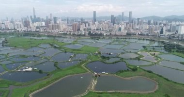 Hong Kong ve Shenzhen siluetleri üzerinde balık havuzları ile Kırsal yeşil alanlar