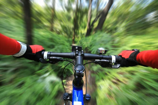 Movimiento Borroso Montar Bicicleta Montaña Sendero Del Bosque Verano —  Fotos de Stock