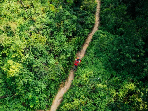 热带雨林小径上骑山地自行车的越野自行车女骑手的空中景观 — 图库照片