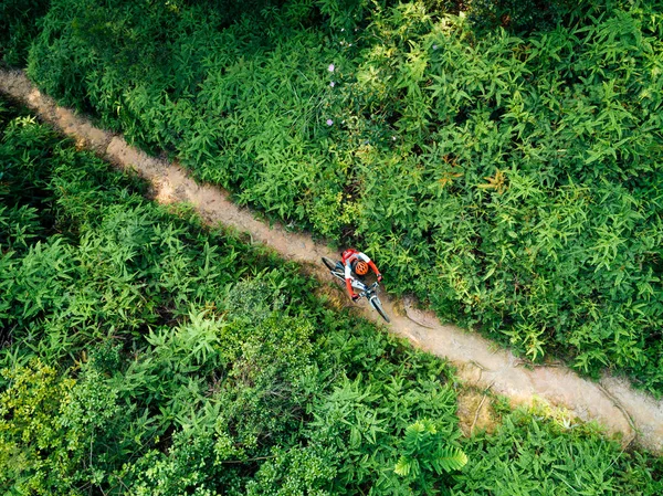 Aerail Weergave Van Cross Country Biking Vrouw Fietser Met Mountainbike — Stockfoto