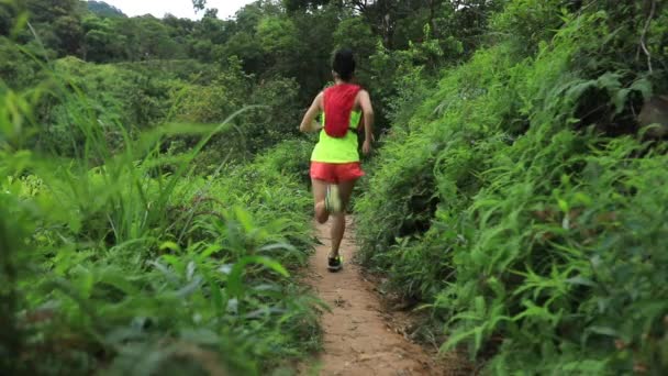 熱帯雨林トレイルを走る女性ウルトラマラソンランナー スローモーション — ストック動画