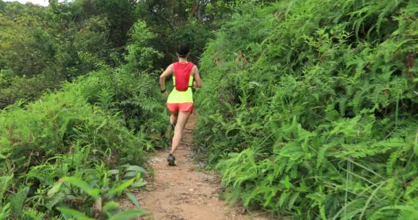 Corredor Ultra Maratón Mujer Corriendo Por Sendero Selva Tropical — Vídeo de stock