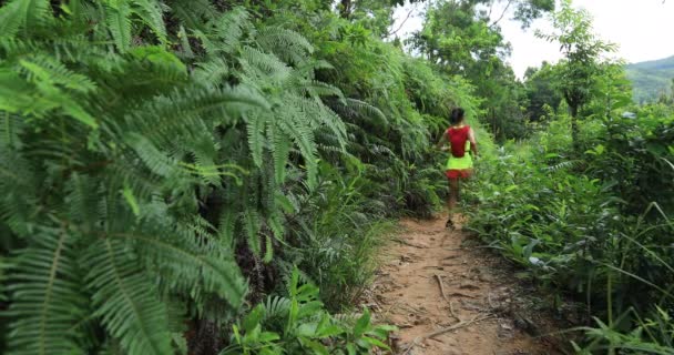 Donna Ultra Maratona Corridore Esecuzione Sentiero Foresta Pluviale Tropicale — Video Stock