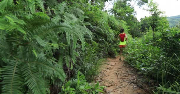 Corredor Ultra Maratón Mujer Corriendo Por Sendero Selva Tropical — Vídeo de stock