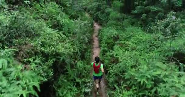女子超马拉松选手在热带雨林小径上奔跑 — 图库视频影像