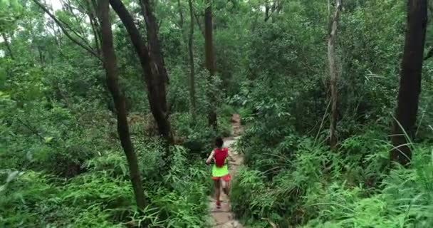 Corredor Ultra Maratón Mujer Corriendo Por Sendero Selva Tropical — Vídeos de Stock