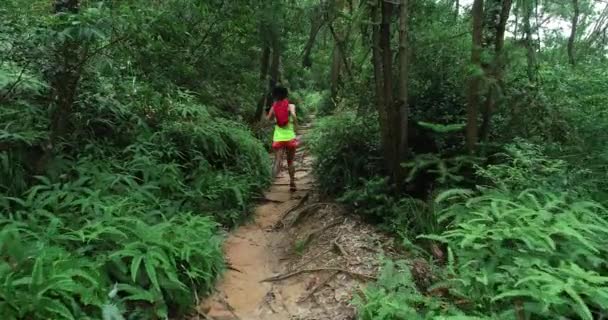 Corredor Ultra Maratón Mujer Corriendo Por Sendero Selva Tropical — Vídeos de Stock