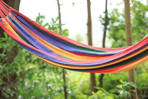 Hamaca Colgando Selva Verde Para Verano —  Fotos de Stock