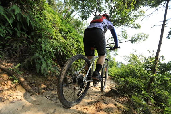 Langlaufen Fietsende Vrouw Fietser Mountainbike Tropisch Bospad — Stockfoto