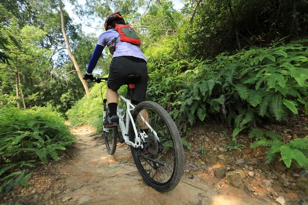 Cross Country Biking Woman Cyclist Riding Mountain Bike Tropical Rainforest — Stock Photo, Image