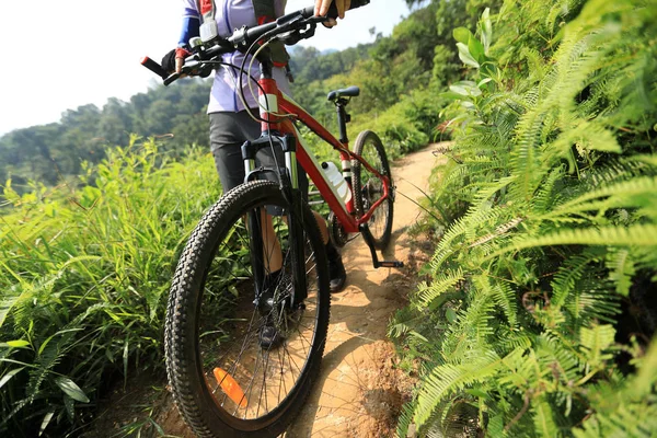 越野自行车女子自行车手携带山地自行车走在热带森林小径 — 图库照片