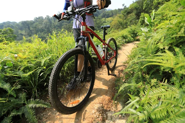 Bicicleta Fondo Ciclista Mujer Caminando Con Bicicleta Montaña Sendero Bosque —  Fotos de Stock