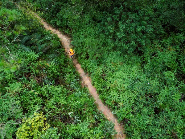 女子超马拉松选手在热带雨林小径上奔跑的鸟瞰图 — 图库照片