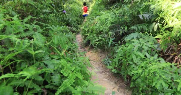 Corredor Ultra Maratón Mujer Corriendo Por Sendero Selva Tropical — Vídeos de Stock