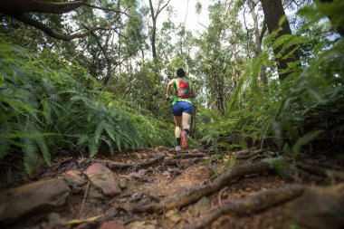 Tropik yağmur ormanları parkurunda koşan kadın ultra maraton koşucusu