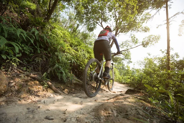 Cross Country Biking Vrouw Fietser Paardrijden Mountainbike Tropisch Regenwoud Trail — Stockfoto