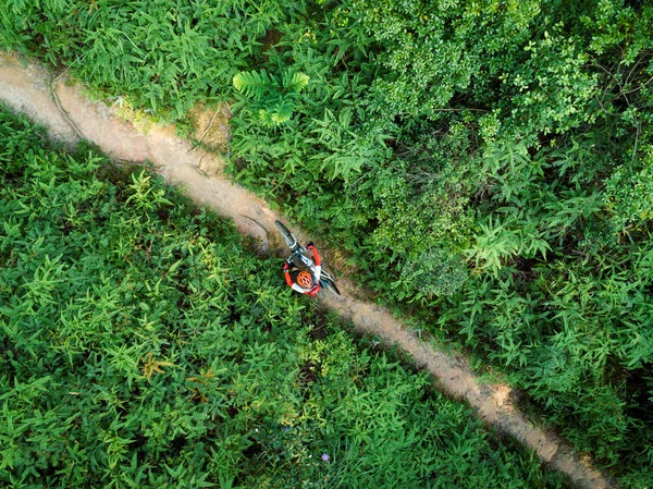 Luchtfoto Van Vrouw Fietser Met Een Mountainbike Wandelen Tropisch Bos — Stockfoto