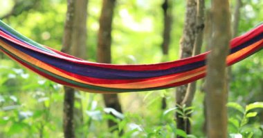 Yaz aylarında yeşil yağmur ormanlarında asılı boş hamak
