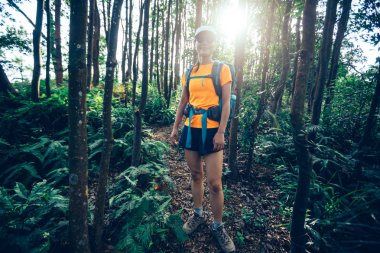 Yaz yağmur ormanı dağda kadın backpacker yürüyüş