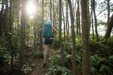 Yaz yağmur ormanı dağda kadın backpacker yürüyüş
