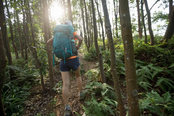 在夏季雨林山徒步旅行的妇女背包客 — 图库照片