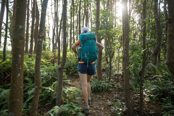 在夏季雨林山徒步旅行的妇女背包客 — 图库照片