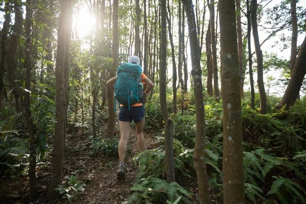 在夏季雨林山徒步旅行的妇女背包客 — 图库照片