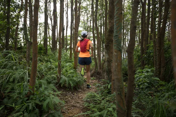 在热带雨林中奔跑的超马拉松跑步者 — 图库照片