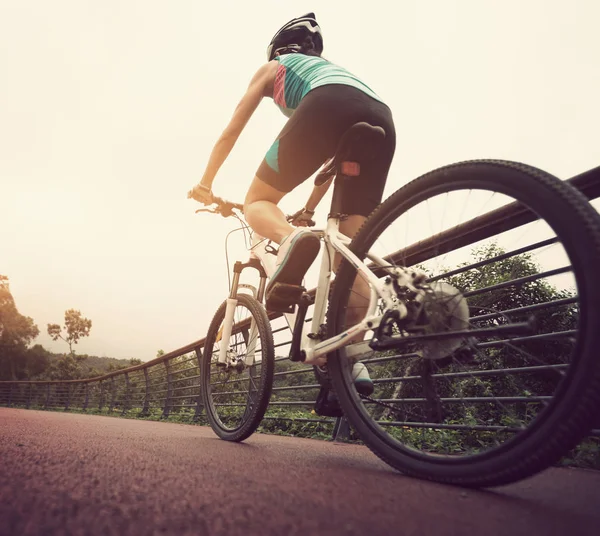 フォレストトレイルでマウンテンバイクに乗る女性サイクリスト — ストック写真
