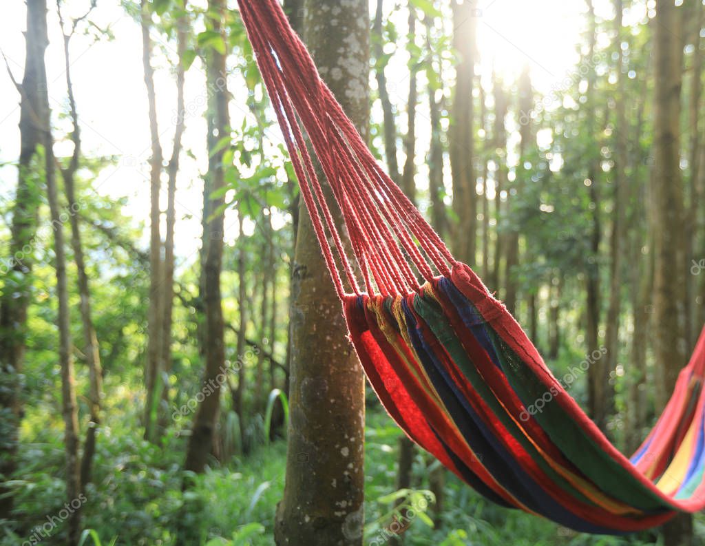Colorful hammock hanging in tropical rainforest 