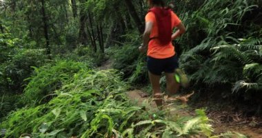 Tropik yağmur ormanları parkurunda koşan kadın ultra maraton koşucusu