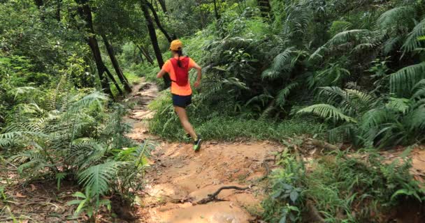 Γυναίκα Εξαιρετικά Μαραθώνιος Δρομέας Τρέχει Τροπικό Δάσος Μονοπάτι — Αρχείο Βίντεο