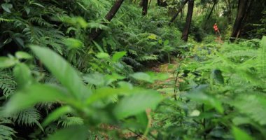 Tropik yağmur ormanları parkurunda koşan kadın ultra maraton koşucusu