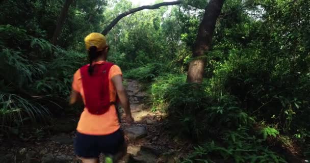Женщина Марафонка Бегущая Тропическим Лесам — стоковое видео