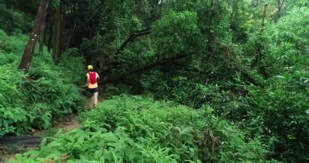女子超马拉松选手在热带雨林小径上奔跑 — 图库视频影像