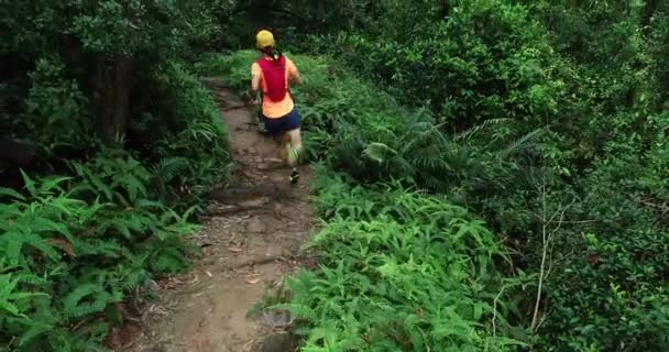熱帯雨林トレイルを走る女性ウルトラマラソンランナー — ストック動画