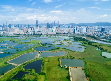 Hong Kong ve Shenzhen siluetleri üzerinde balık havuzları ile kırsal yeşil alanların havadan görünümü