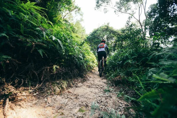 越野自行车女子骑自行车骑山地自行车在热带雨林小径 — 图库照片