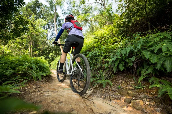 Cross Country Cykling Kvinna Cyklist Ridning Mountainbike Tropiska Regnskog Trail — Stockfoto